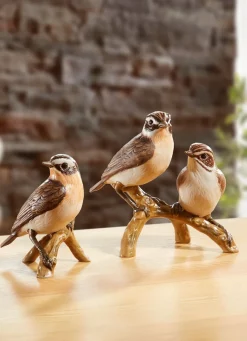 Braunkehlchen - Vogel des Jahres 2023