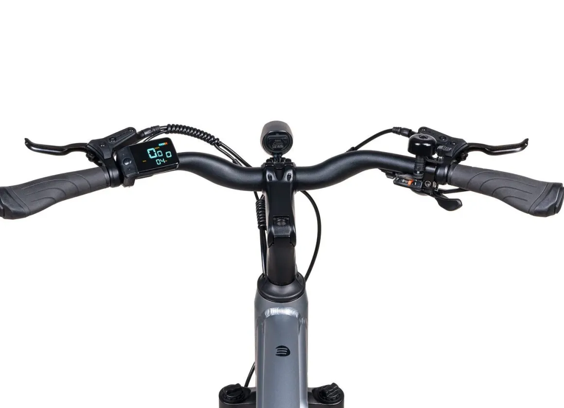 E-Trekking-Bike X-Road 5.2 von SAXONETTE