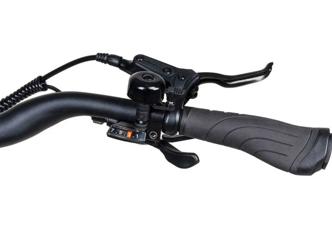 E-Trekking-Bike X-Road 5.2 von SAXONETTE