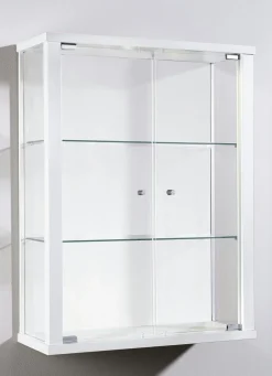Hängevitrine mit ESG-Sicherheitsglas