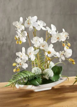 Orchideen-Arrangement in Schale