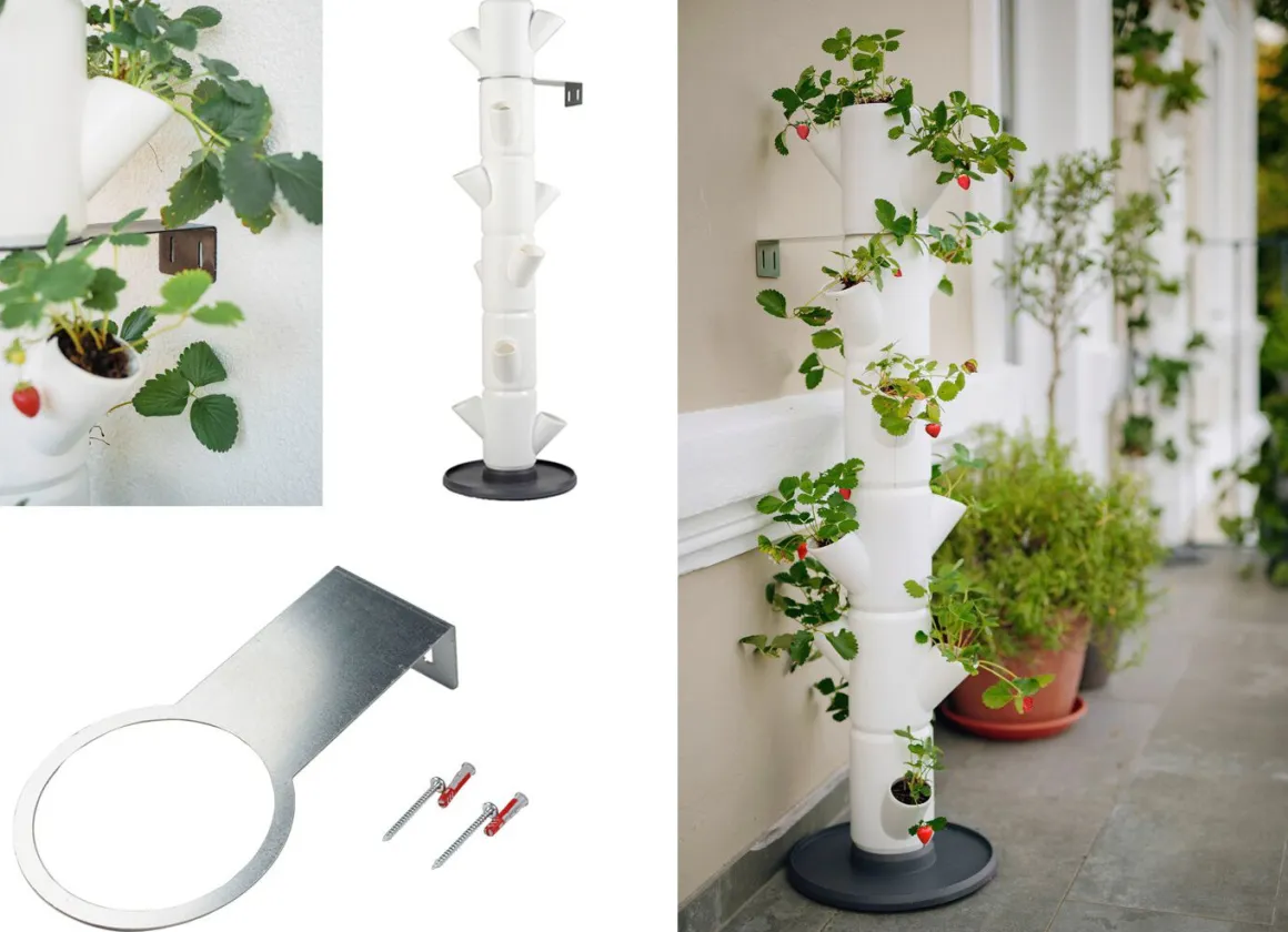 Pflanz-System Sissi Strawberry