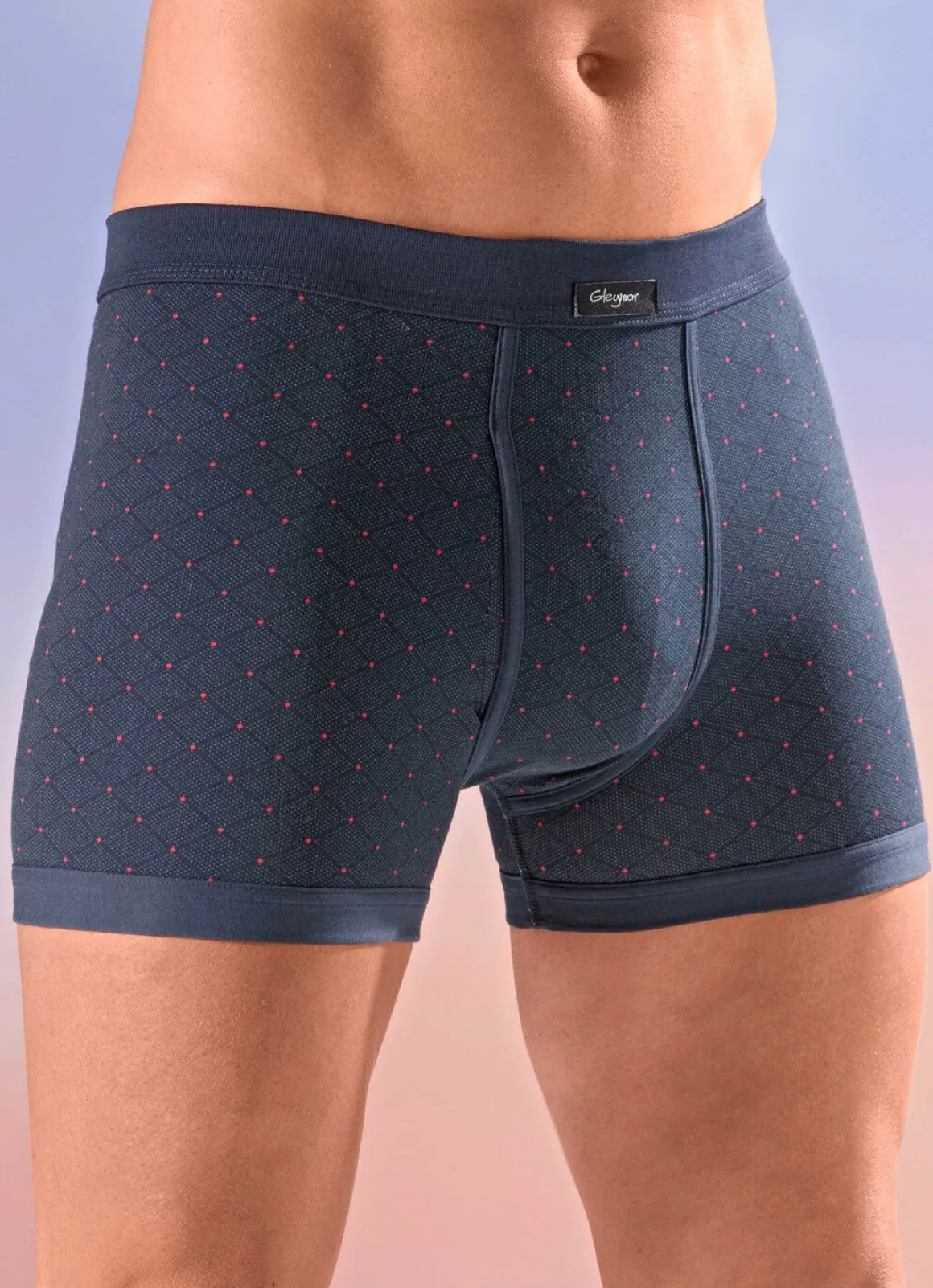 Viererpack Unterhosen mit Alloverdessin